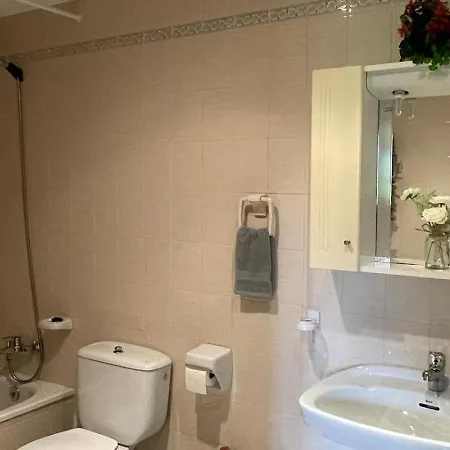 Apartamento Bujaruelo *